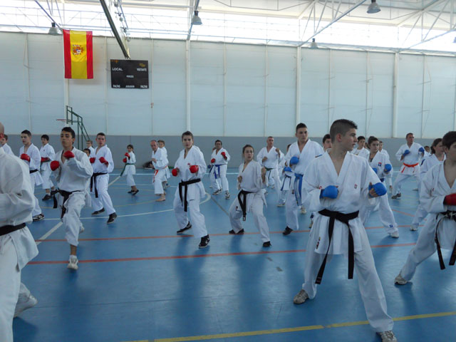 VIII Curso de Karate Victor Alvarado