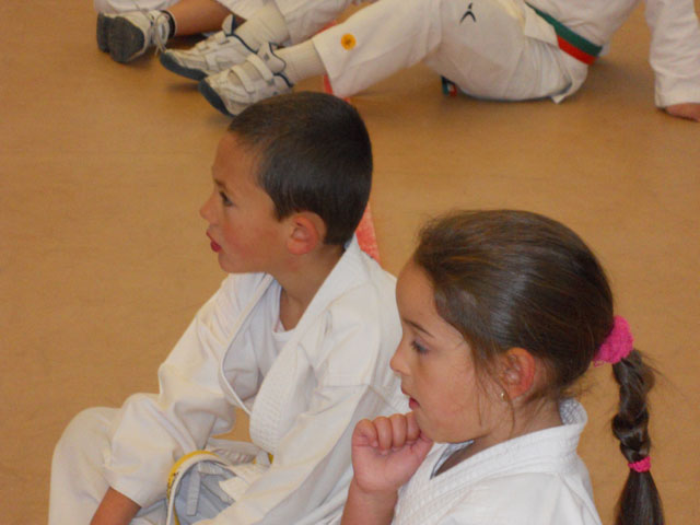VII Curso de Karate Villalbilla Ángel Ramiro
