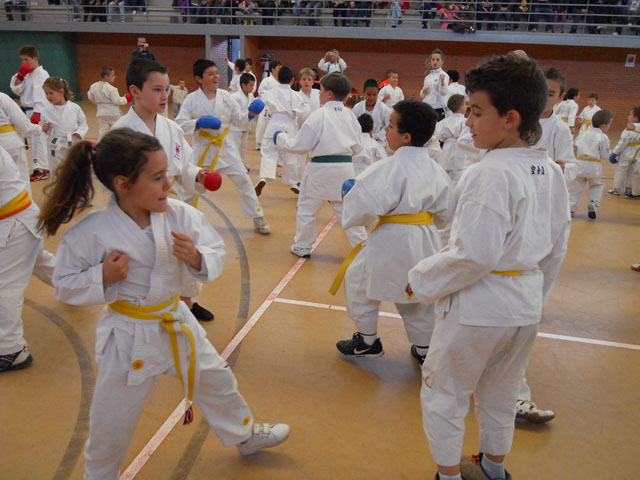 VII Curso de Karate Villalbilla Ángel Ramiro