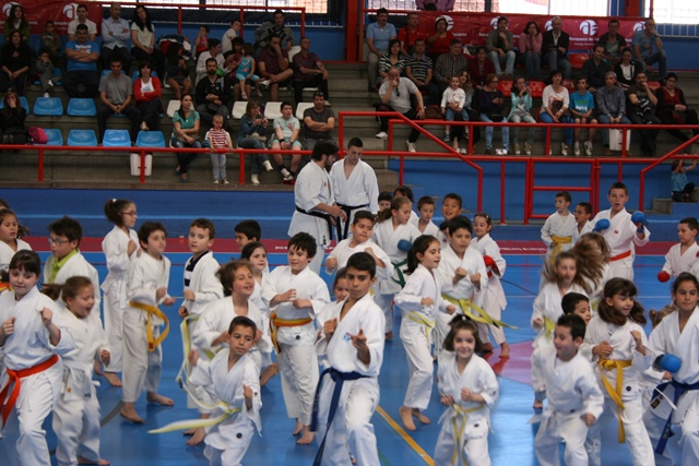 X Curso Técnico de Kárate Azuqueca de Henares Evaristo Criado