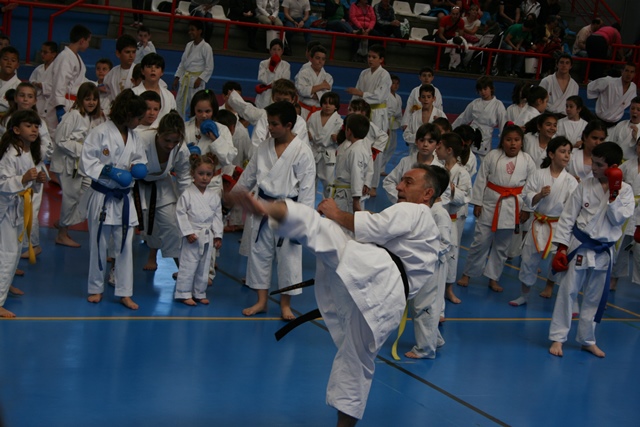 X Curso Técnico de Kárate Azuqueca de Henares Evaristo Criado