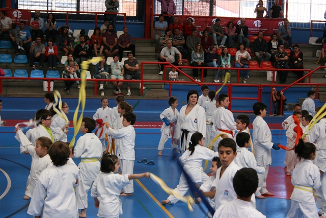 X Curso Técnico de Kárate Azuqueca de Henares Evaristo Criado