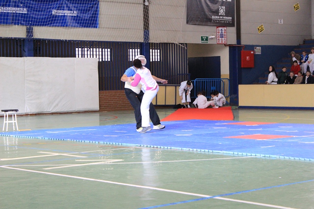 Exhibición Navidad 2012